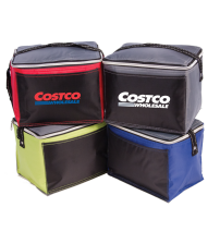 Artic 6-Pack Cooler